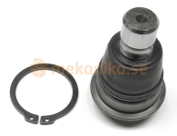 Spindelled - FV-510623