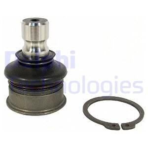 Spindelled - FV-511681