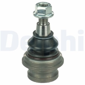 Spindelled - FV-513059