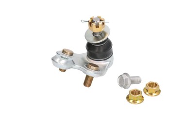 Spindelled - FV-513837