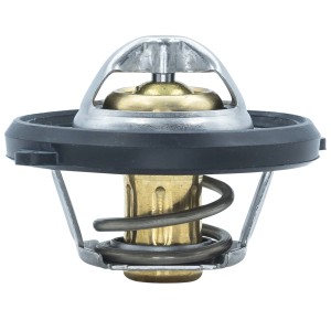 Termostat - TE-820169