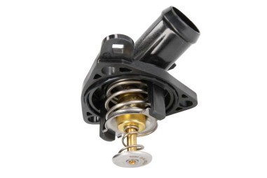 Termostat med hus - TE-820185