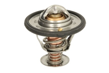 Termostat - TE-820187