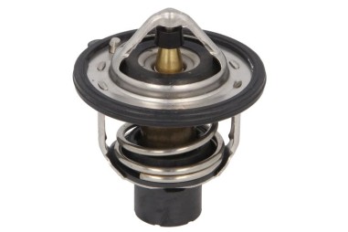Termostat - TE-820206