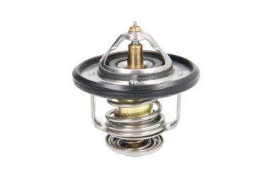 Termostat - TE-820208