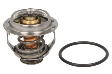 Termostat - TE-820232