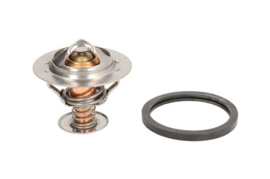 Termostat - TE-820243