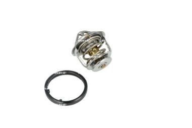Termostat - TE-820251