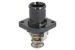 Bildelar - Termostat - TE-820120