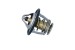 Bildelar - Termostat - TE-820210