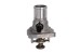Bildelar - Termostat - TE-820244