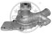 Bildelar - Vattenpump - VP-810094